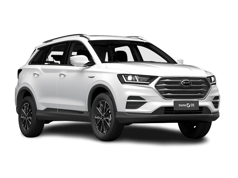 SWM G01 купить в вашем городе